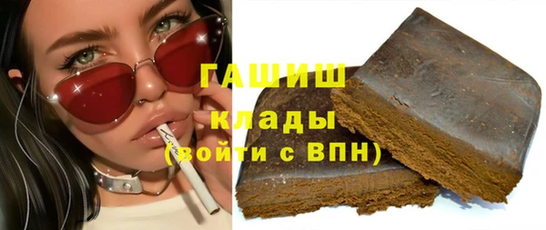 индика Туринск