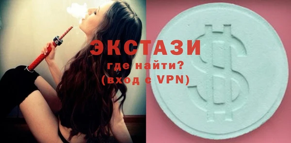 индика Туринск