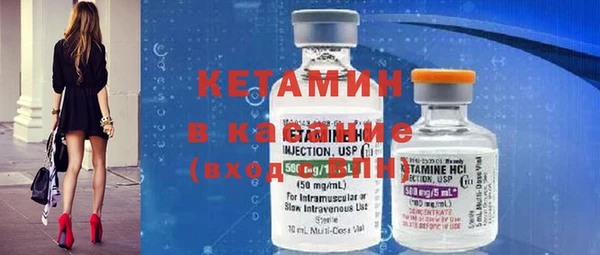 индика Туринск