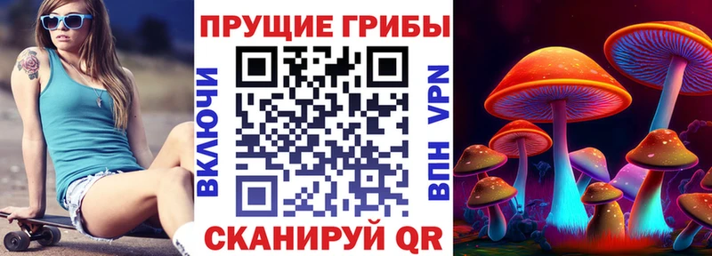 нарко площадка наркотические препараты  Назарово  Псилоцибиновые грибы Psilocybe 
