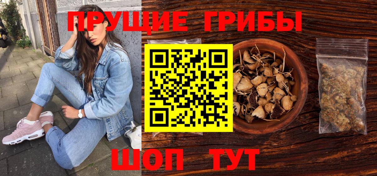 Псилоцибиновые грибы Psilocybe  Вход с VPN  Назарово 